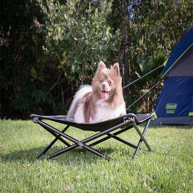 Hyper Pet Elevated Pet Bed allows airflow around pet to keep them cool during summer, elevation from the cold or damp ground.