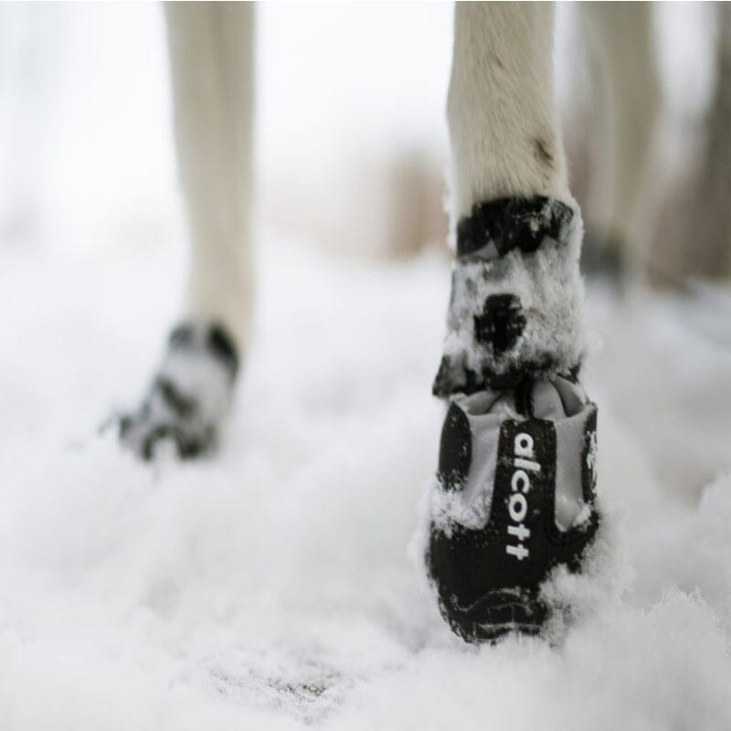 Alcott Explorer Adventure Dog Shoes or Boots are Designed in USA with reflective strap + accents.