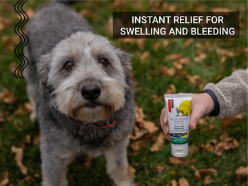 First Aid Ointment For Cats & Dogs - For Minor Cuts, Bleeding & Bruises Pet Supplies Gou Gou Pets 
