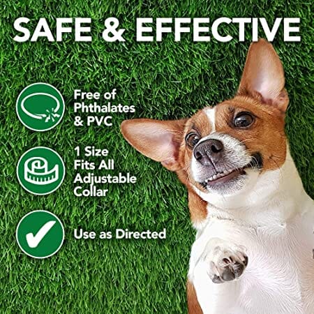 Flea & Tick Repellent Collar for Dogs repels fleas & ticks, protects dog from itching & side effects of flea infestation.