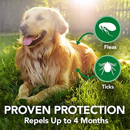 Vet's Best Flea & Tick Repellent Dog Collar made with Cedarwood & Peppermint Oils to repel fleas & ticks for upto 4 months.
