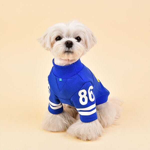 Colts best sale jersey dog