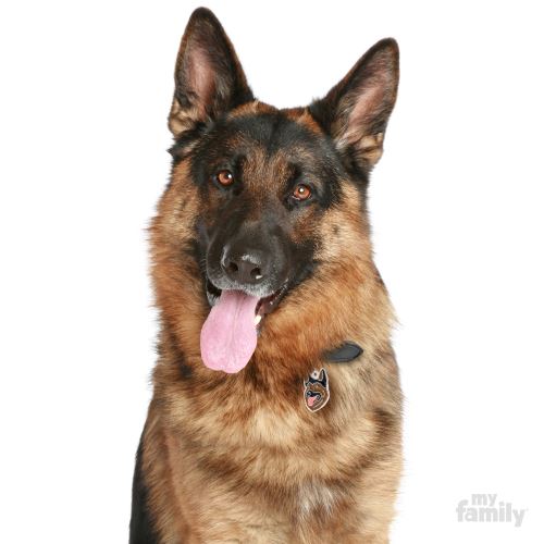 German shepherd dog tags sales