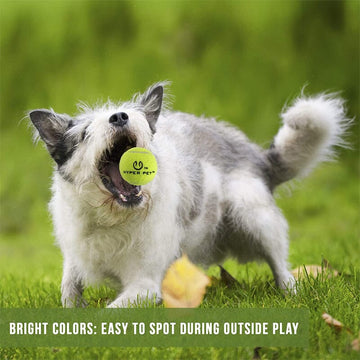 Bright Green color of Hyper Pet Dog's Mini Tennis Ball easy to spot during outside play & to locate in bushes, leaves, grass.