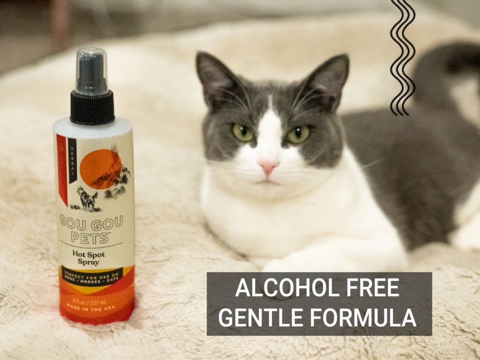 Hotspot Spray For Cats & Dogs - For Trauma & Wound Care Pet Supplies Gou Gou Pets 