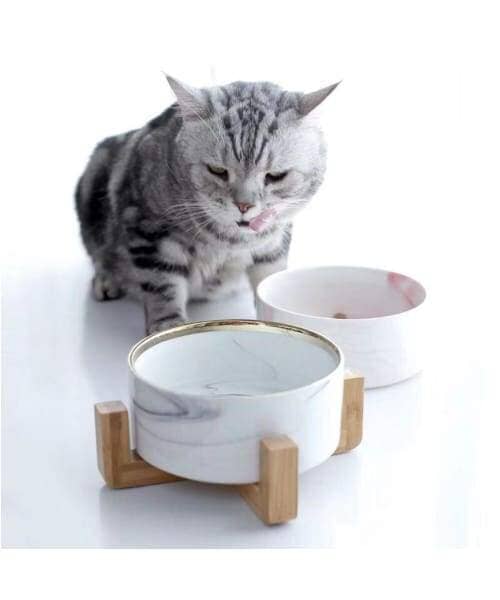 Japanese Raised Feeding Single Bowl For Cats & Dogs - Comfort Supplies
