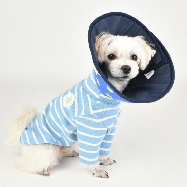 Neck Collar Or Cone For Dogs