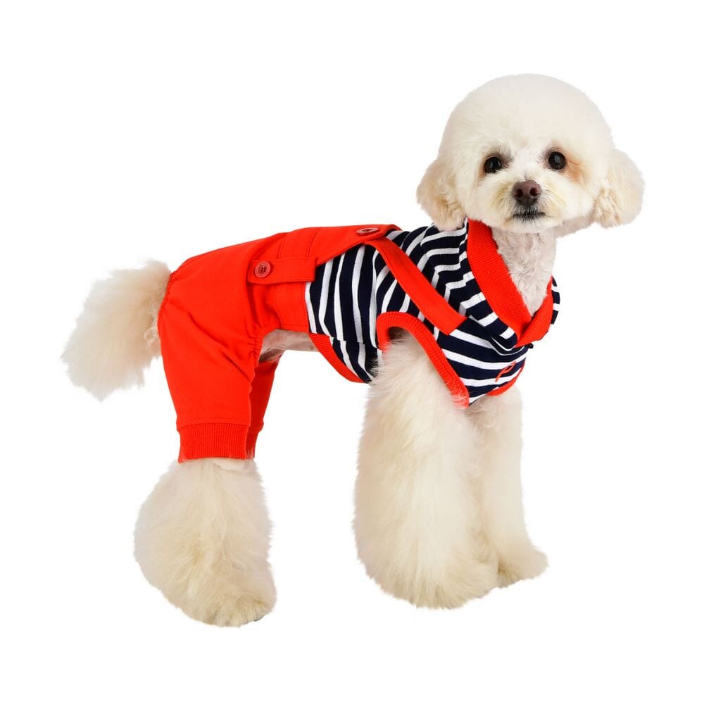 Jersey with Hoodie For Dogs