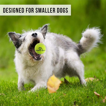 Hyper Pet K9 Kannon K2 mini-tennis ball Launcher Dog Toy is more suitable for small dogs.