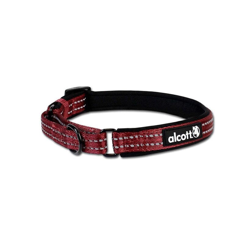 Alcott Martingale collar is a comfortable Alternative to a Pinch/Choke Collar.