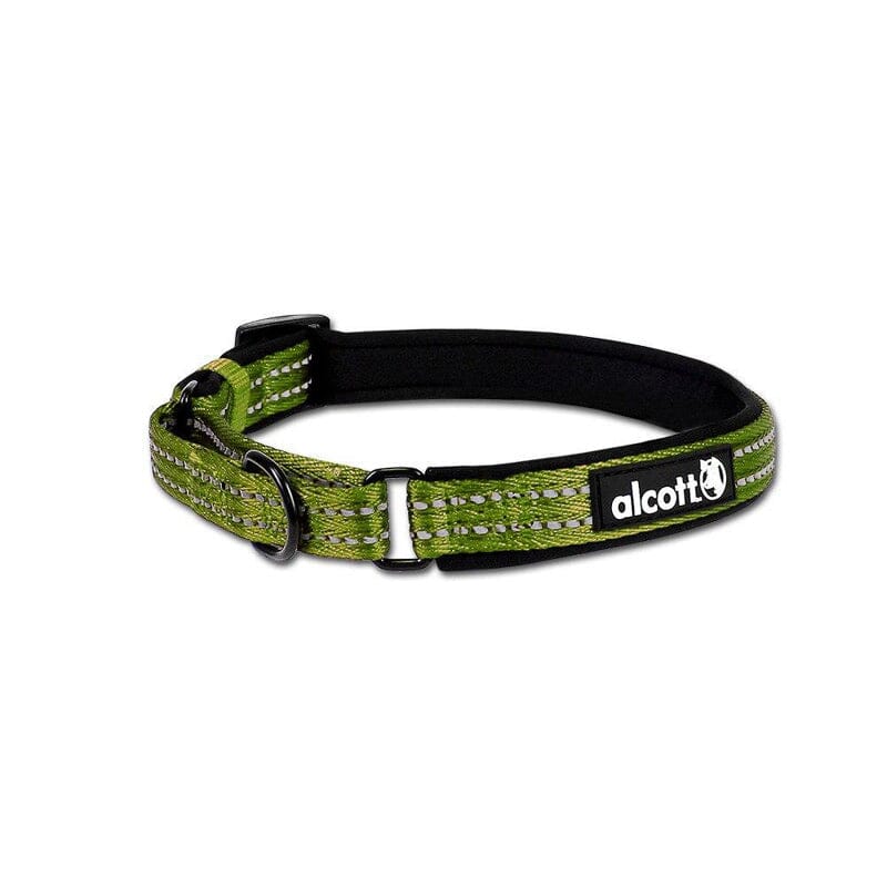 Strong martingale outlet dog collars