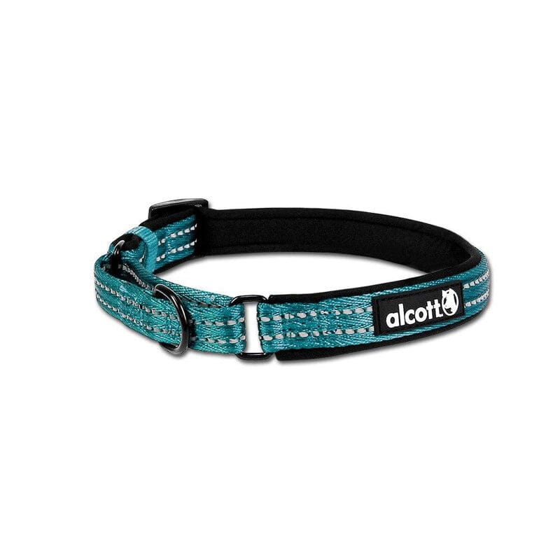 Alcott Martingale Dog collars blue vibrant color - pet supplies. Collars for Dogs.