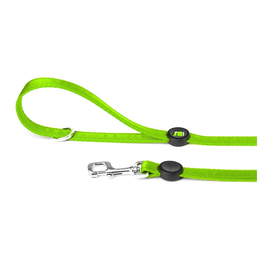 Memopet Dog Leash With Activity Tracking Device and Digital ID Pet Supplies My Family Small Green 