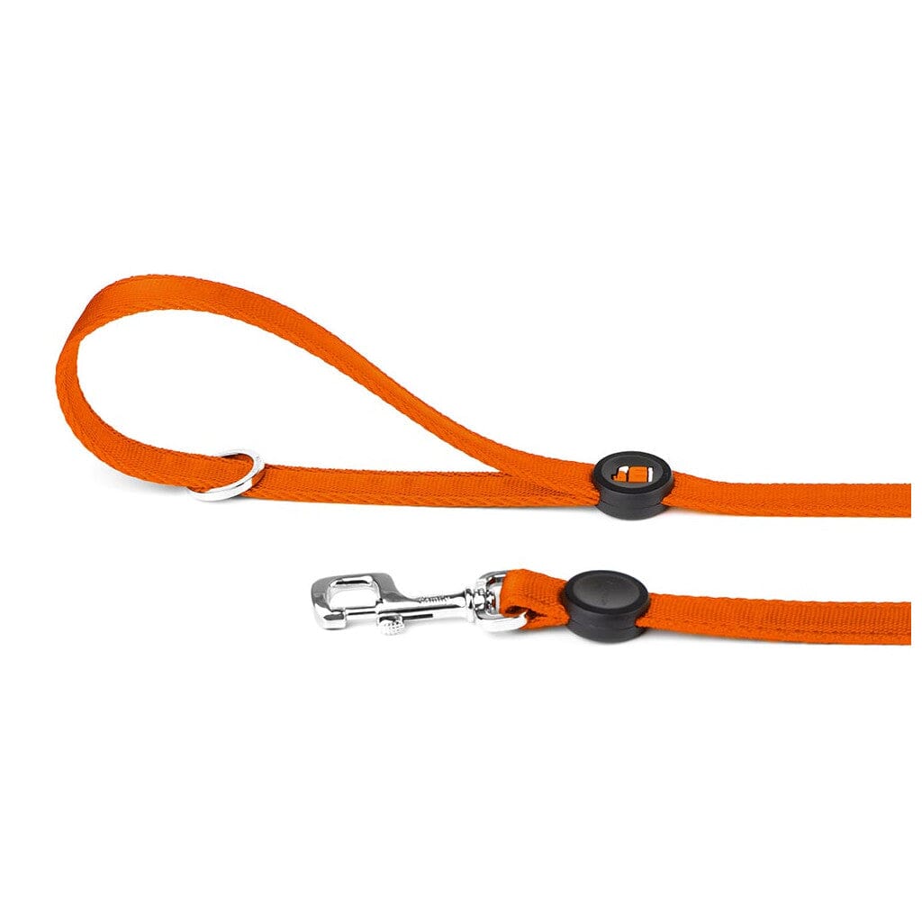 Memopet Dog Leash With Activity Tracking Device and Digital ID Pet Supplies My Family Small Orange 