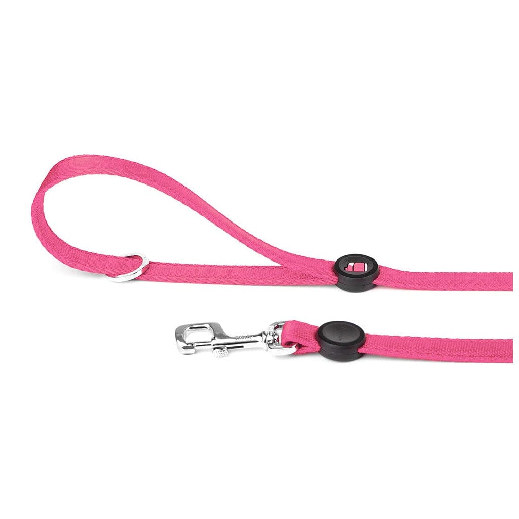 Memopet Dog Leash With Activity Tracking Device and Digital ID Pet Supplies My Family Small Pink 