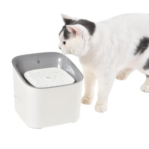 PawsnCollars Automatic Filtered Water Fountain For Cats & Dogs Comfort Supplies PawsnCollars 