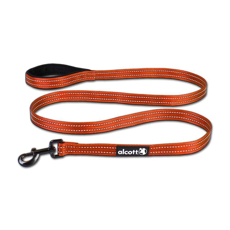 Reflective High Visibility Dog Leash