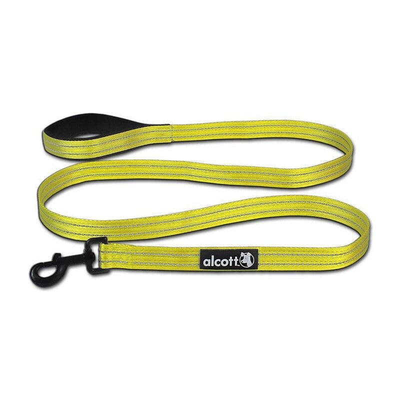 Dog Leashes alcott Dog Visibility Leash On PawsnCollars India