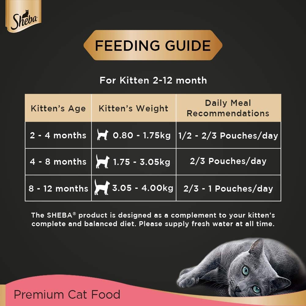 Sheba Chicken Premium Loaf Fine Food For Kitten - 70 g