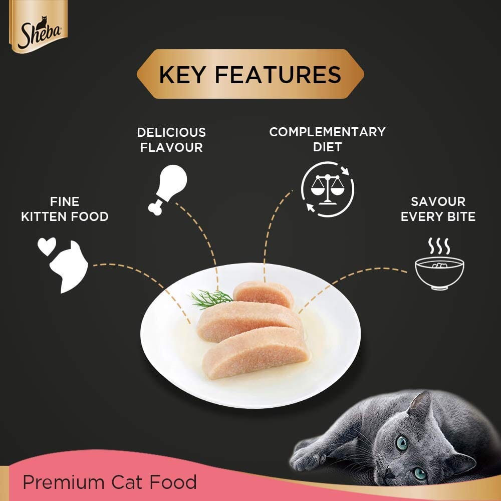 Sheba Chicken Premium Loaf Fine Food For Kitten - 70 g