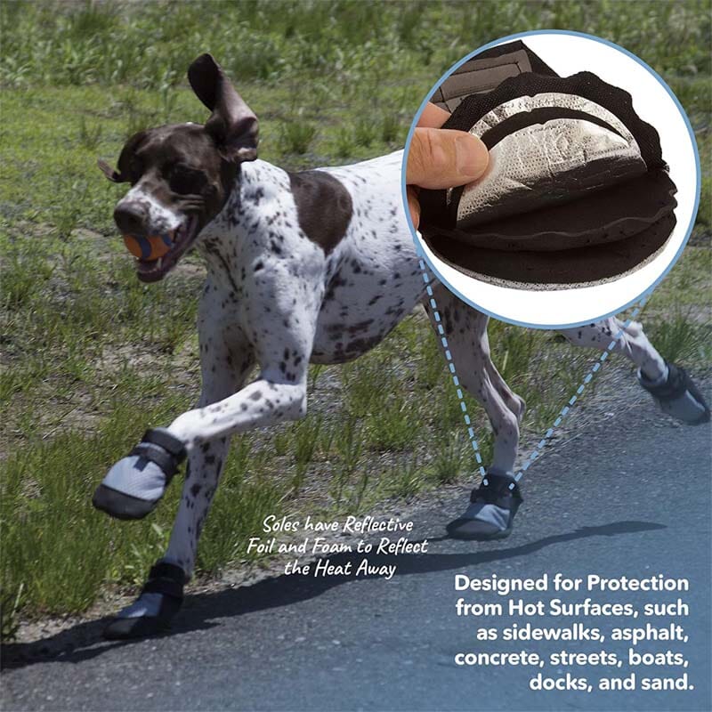 Sand shoes for store dogs