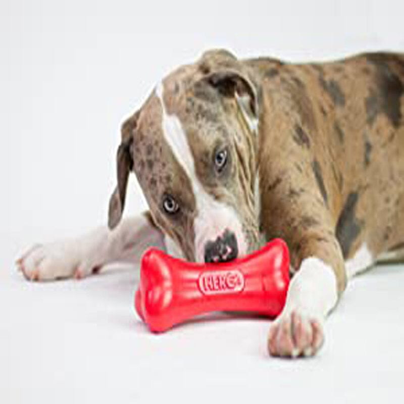 Hero Action Rubber Nub Bone Toy is Great & perfect gift for small dogs or puppies that love to bite and chew.