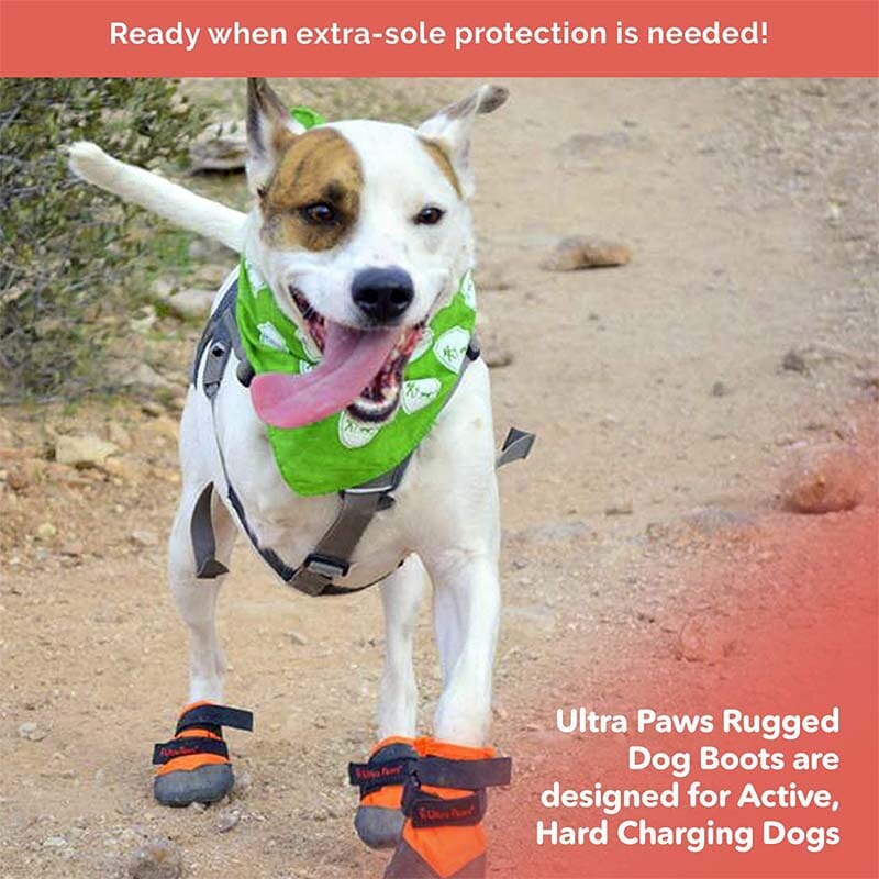 Ultra Paws Rugged/Durable Dog Shoes' Two Velcro straps with slides fasten boots in place & cover foam pads for secure grip.