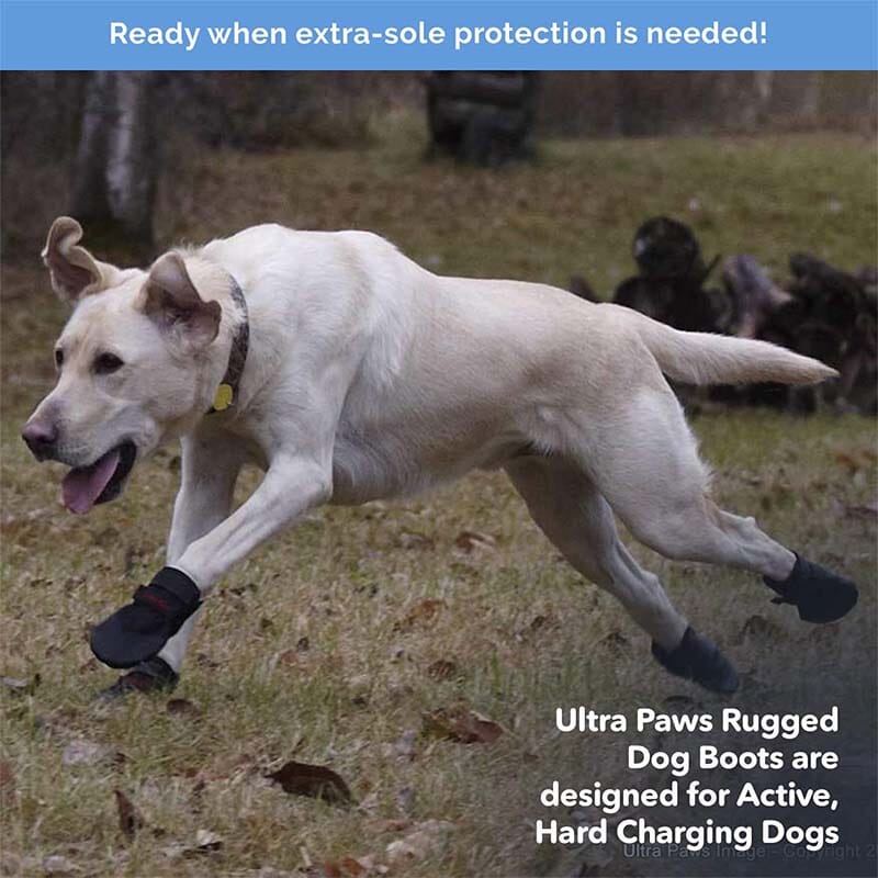 Ultra Paws Rugged/Durable Dog Shoes are for hunters,urban settings,on asphalt/concrete, snow, protection from salt in winter.