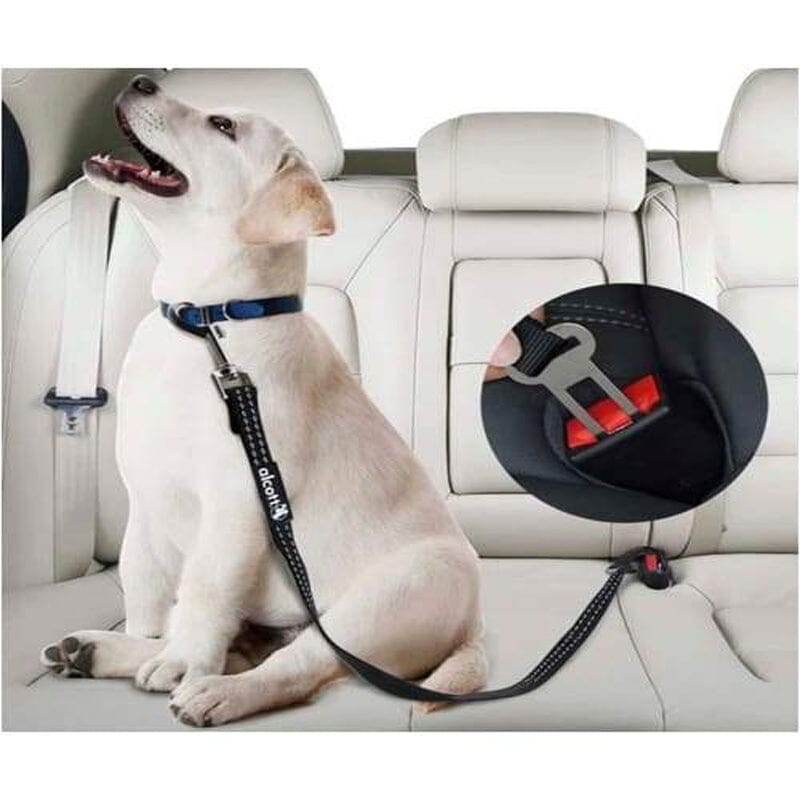 Alcott Traveler Car Seat Belt Tether For Pets Prevents your dog from jumping out of the vehicle.