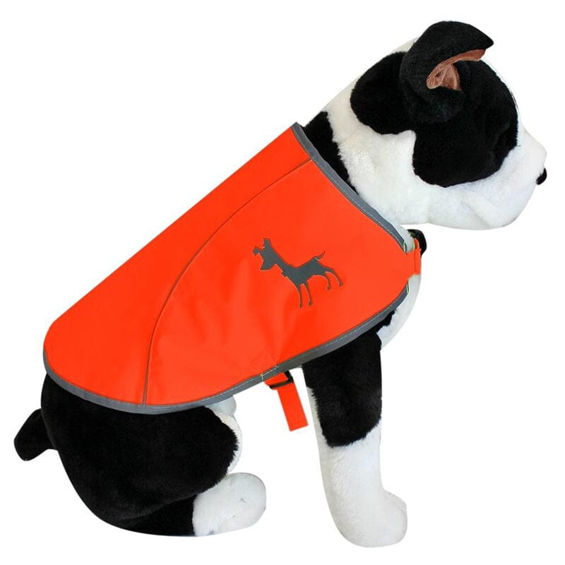 alcott Visibility Dog Vest is Lightweight & Ideal for Daily Use.