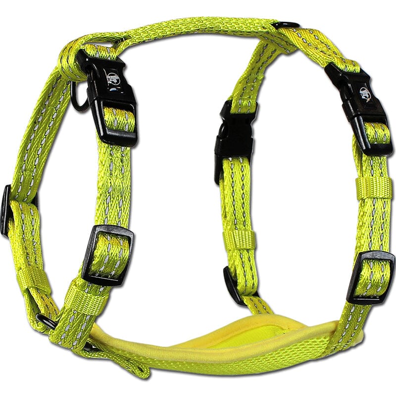 Alcott Essential Visibility Harness with Reflective Accents with Easy on/off design with 3 buckles.