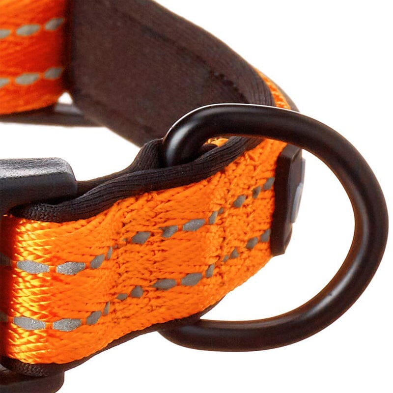 Alcott USA Visibility Dog  nylon Collars have pull-on closure type.