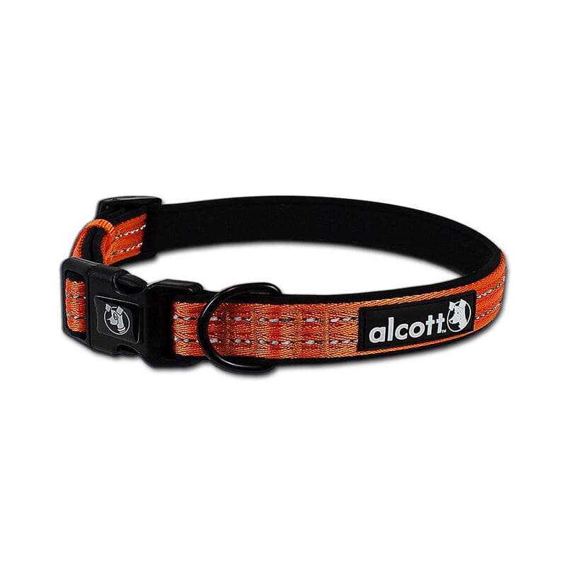 Alcott Visibility Large sized collar for dogs - orange in color - pet supplies & essentials.