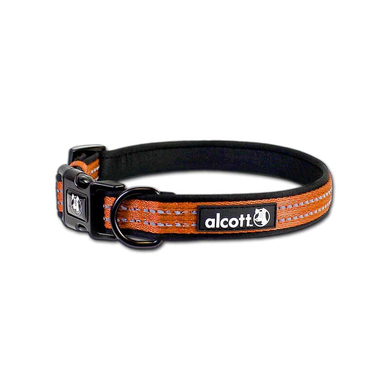 Alcott Visibility Medium sized collar for dogs - orange in color - pet supplies & essentials