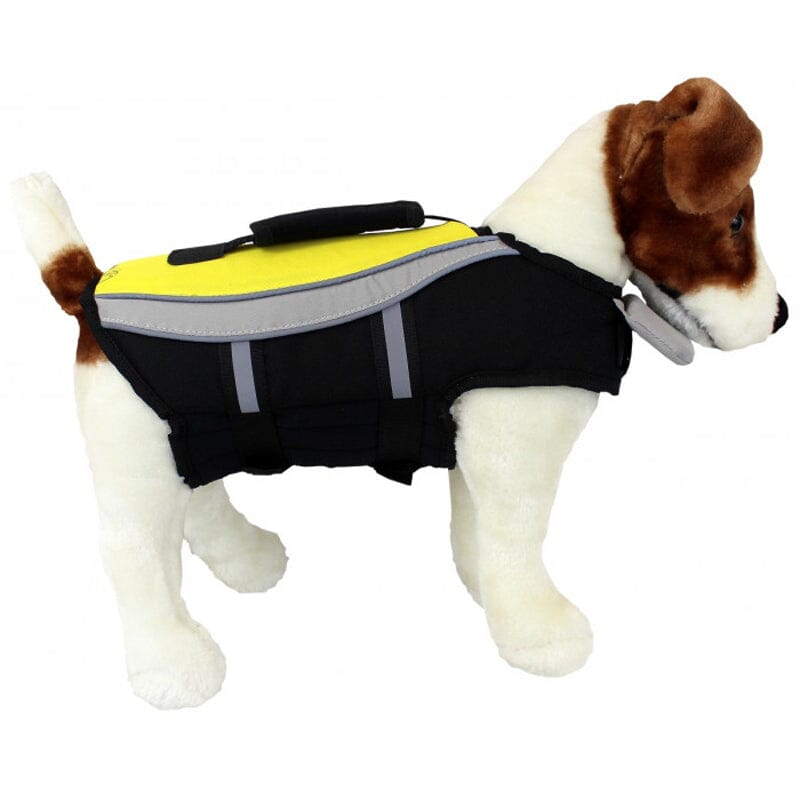 Water Adventure Life Jacket with Reflective Accents